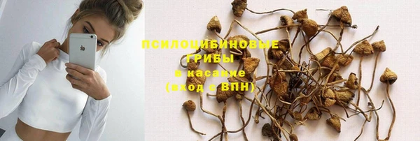 ешки Белокуриха